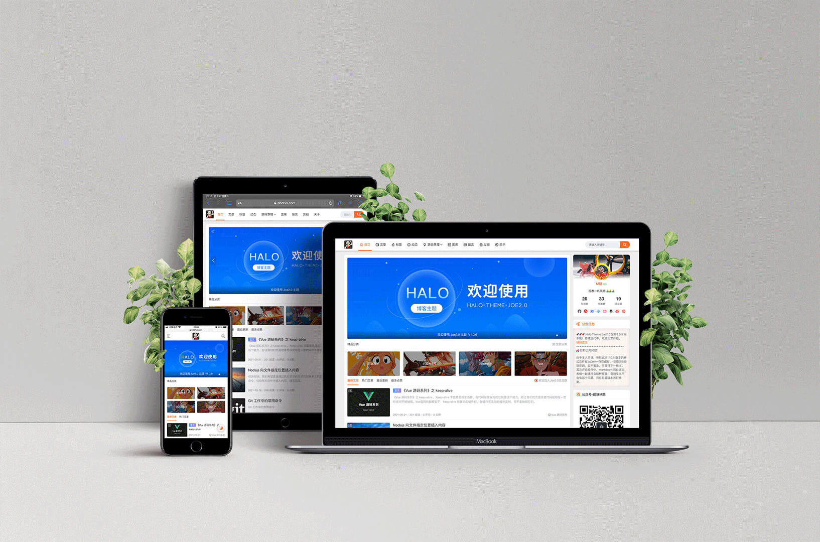 Joe主题样式使用手册指南-文章页图标+QQ群图标+主页分类图标修改